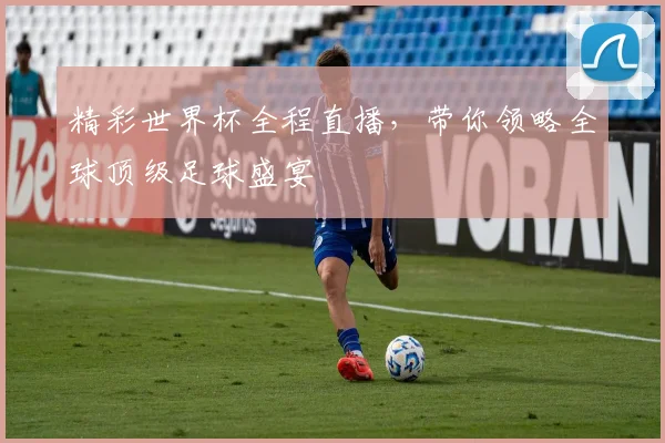 精彩世界杯全程直播，带你领略全球顶级足球盛宴