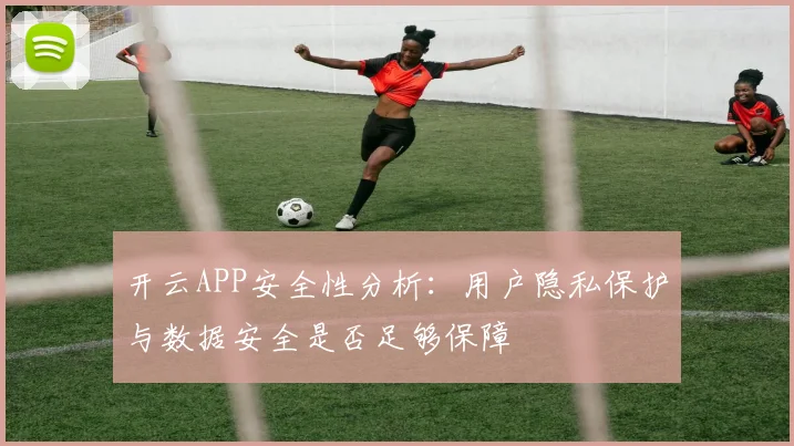 开云APP安全性分析：用户隐私保护与数据安全是否足够保障
