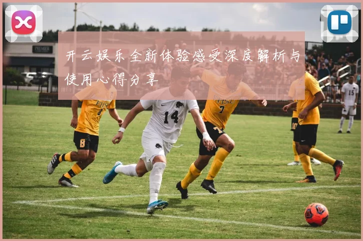 开云娱乐全新体验感受深度解析与使用心得分享
