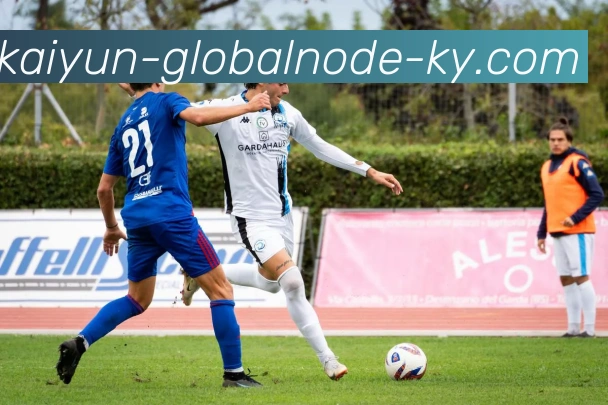 开云平台生态图